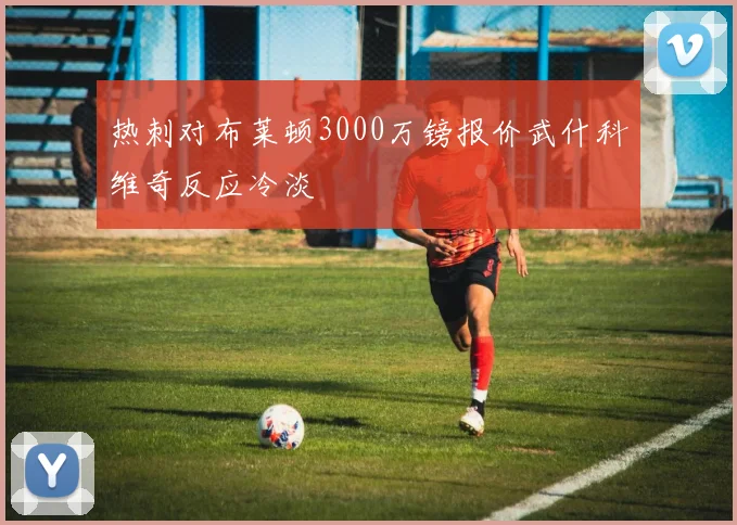 热刺对布莱顿3000万镑报价武什科维奇反应冷淡